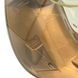Резервуар для води парогенератора PHILIPS GC9655 423902276711 фото 3